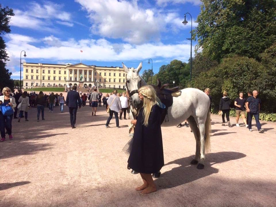 hvit hest slott